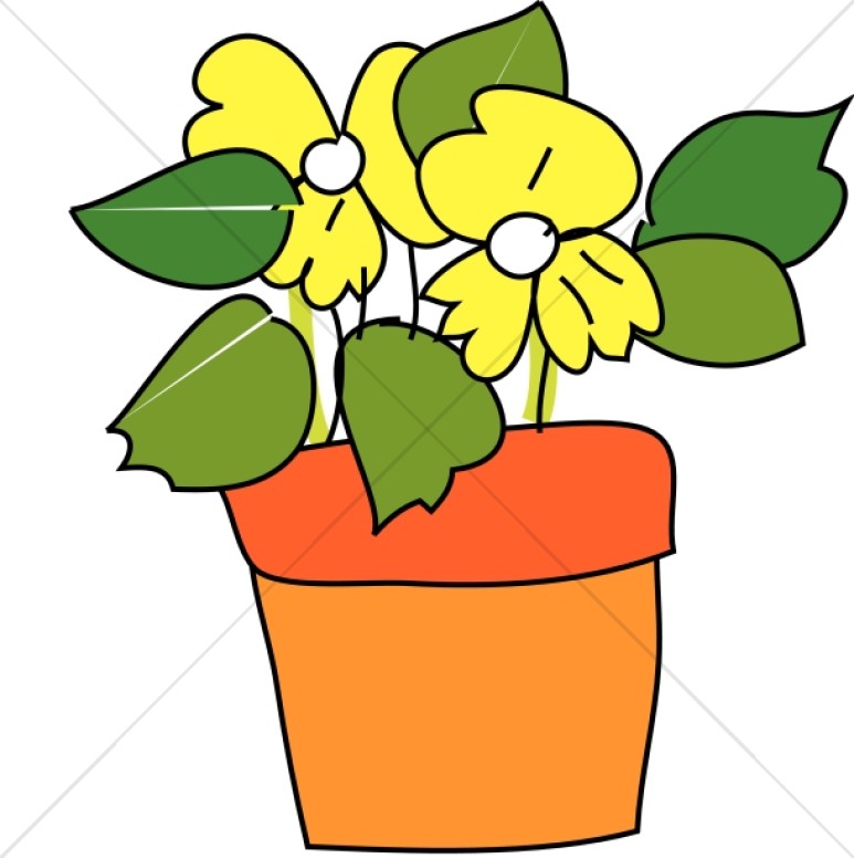 773x776 Pot With Yellow Flowers Church Flower Clipart