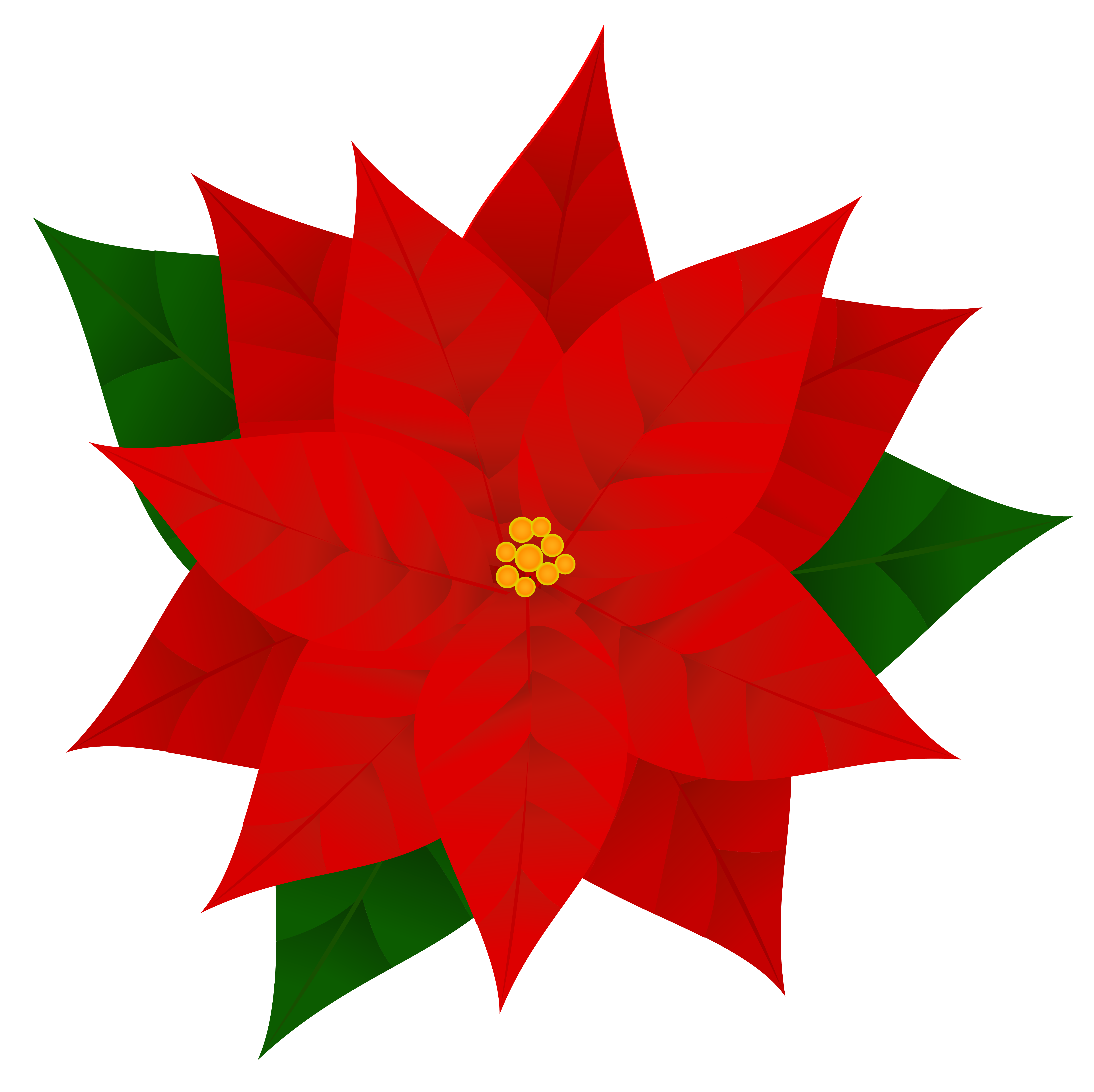 6032x6019 Amazing Ideas Poinsettia Clipart Free Poinsettias Cliparts