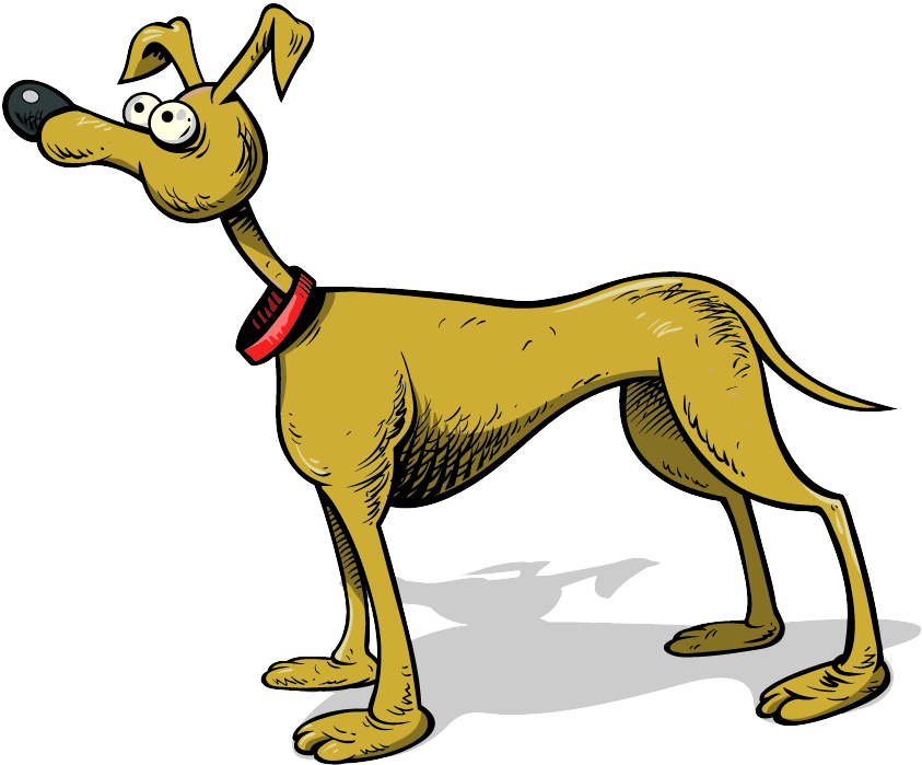 843x699 Amelia Earhart Pictures Go Berserk