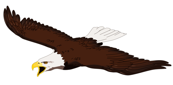 600x296 Free Bald Eagle Clip Art Pictures