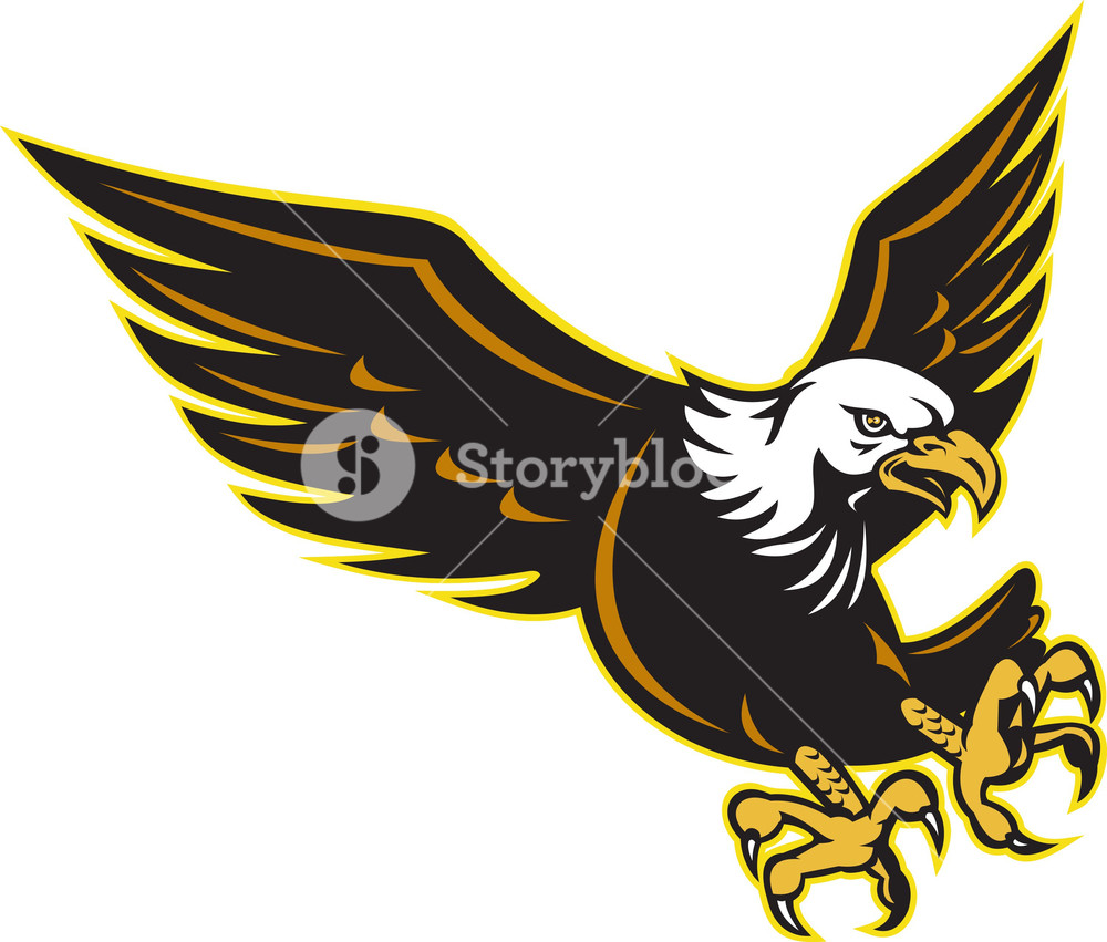 1000x851 American Bald Eagle Flying Royalty Free Stock Image