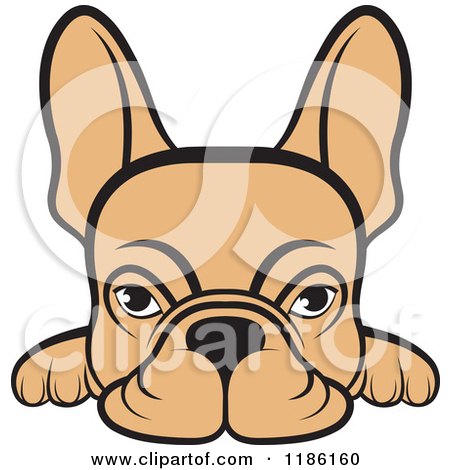 450x470 Clipart Cute Black And White Frenchie Bulldog Puppy Sitting