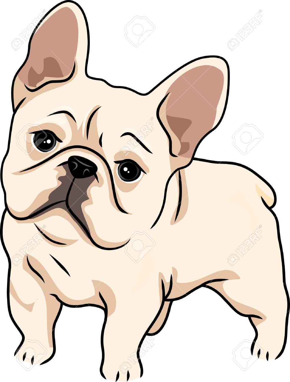 985x1300 Wondrous French Bulldog Clipart Head Clip Art Vector Search