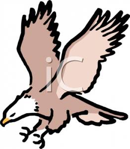 262x300 Top 88 Bald Eagle Clipart