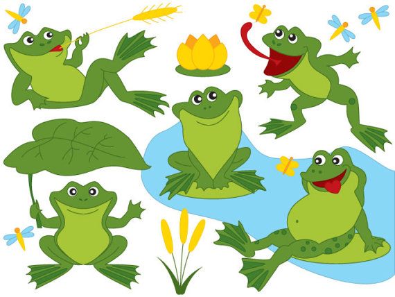 570x428 Frog Clipart