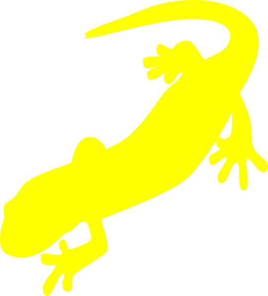 540x595 Newt Clipart Amphibian