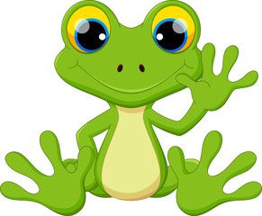 291x240 Search Photos Category Animals Gt Reptiles And Amphibians Gt Frogs