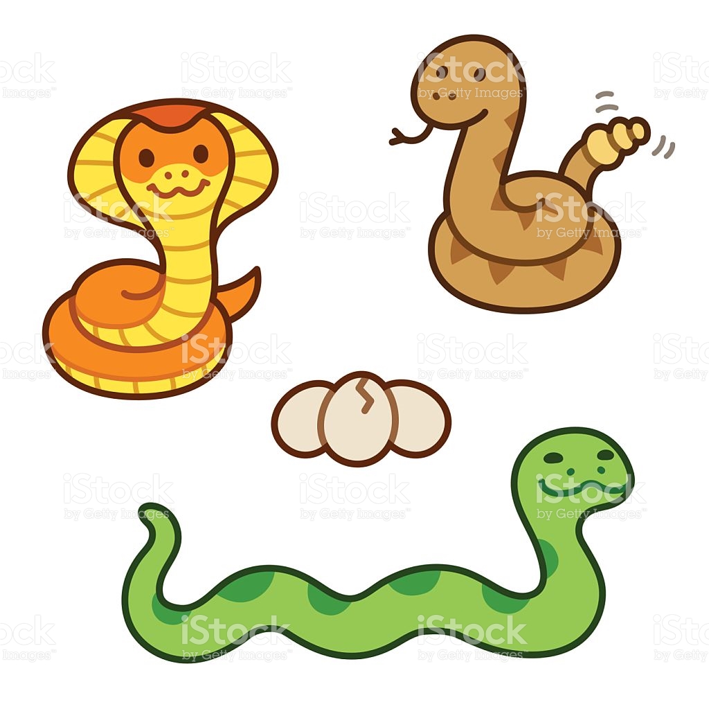 1024x1024 Cartoon Images Of Snakes