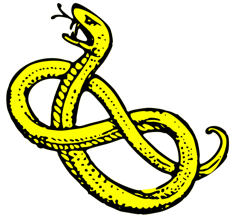 823x770 Image Of Anaconda Clipart