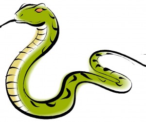 300x250 Anaconda Clipart Clipart Panda
