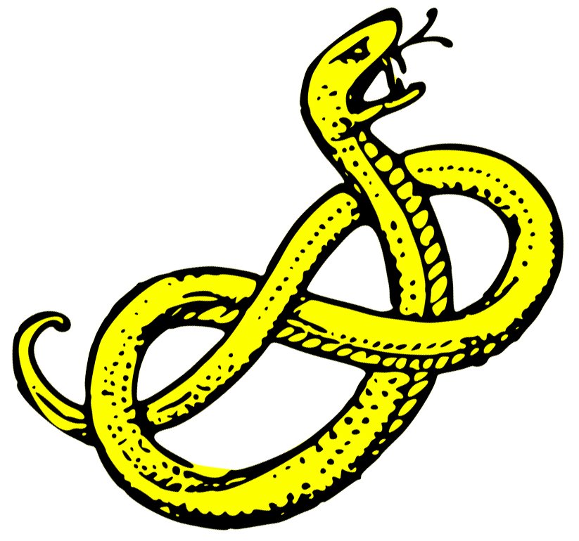 823x770 Anaconda Clipart Snake Head 3026442