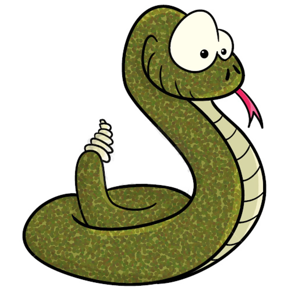 1000x1000 Anaconda Clipart Small Snake