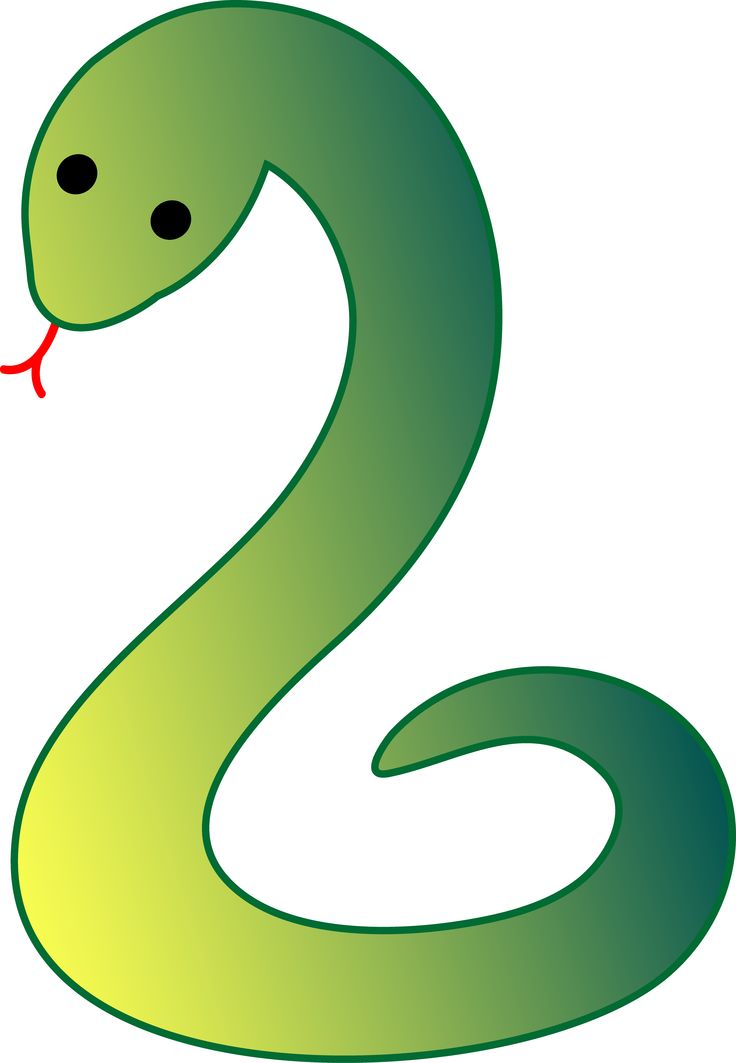736x1063 Garter Snake Clipart Baby Snake
