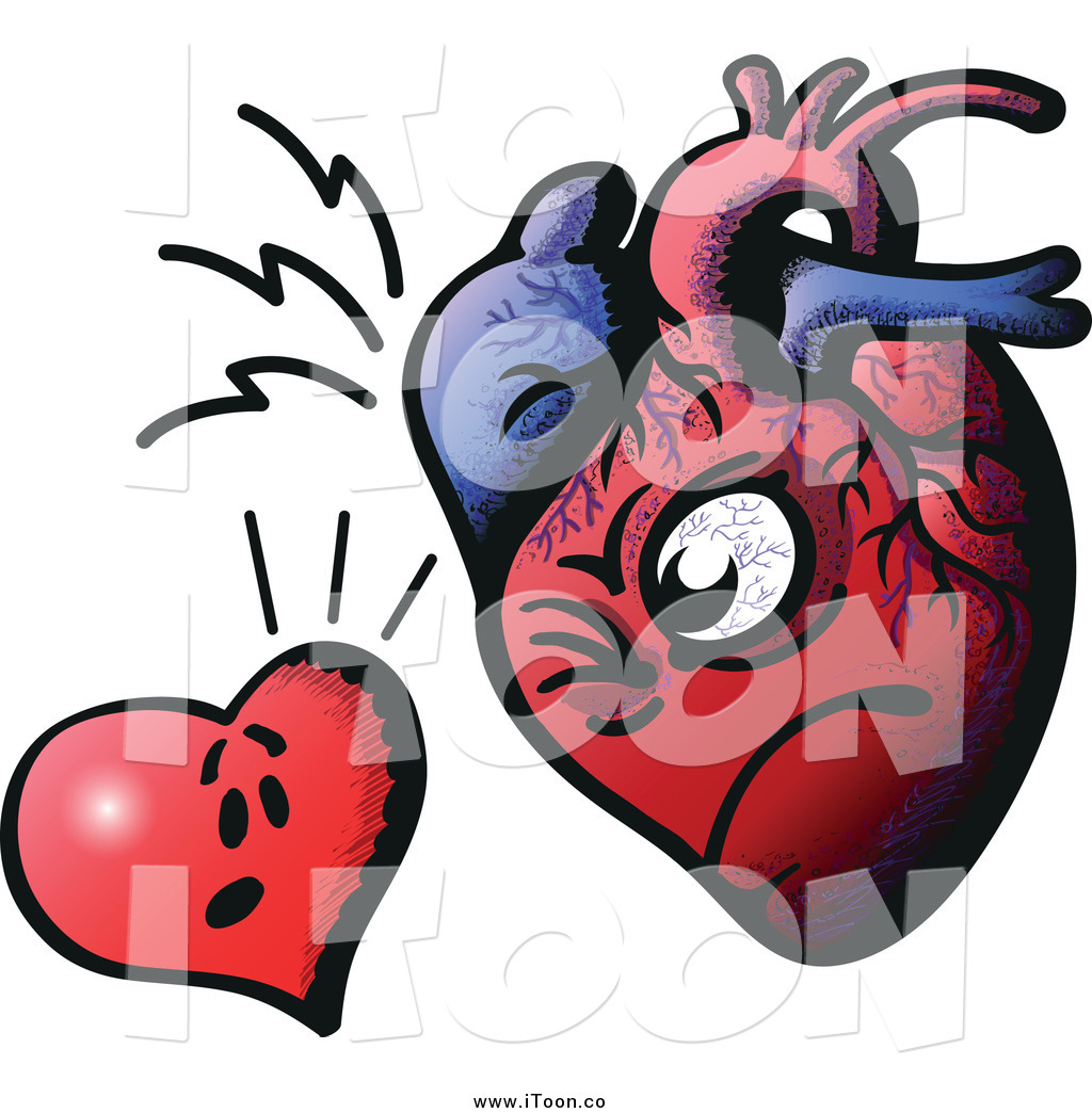 1024x1044 Outstanding Real Heart Clipart Human Clipartxtras