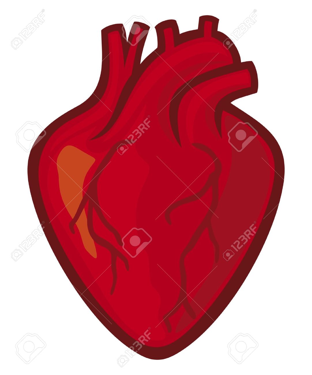 1082x1300 Rate Clipart Human Heart