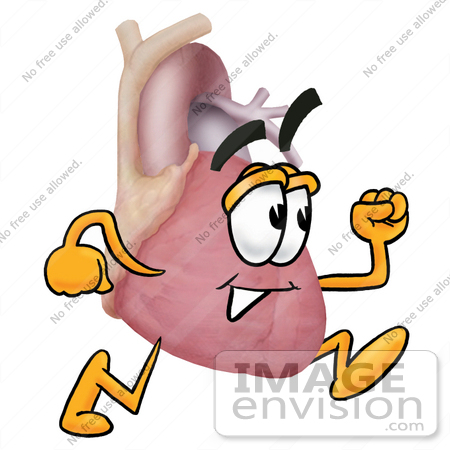 450x450 Cartoon Human Heart Clipart