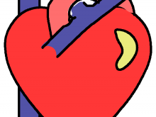 220x165 Anatomy Clip Art Free