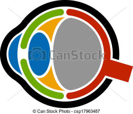 450x386 Vector Anatomy Human Eye Icon Vector