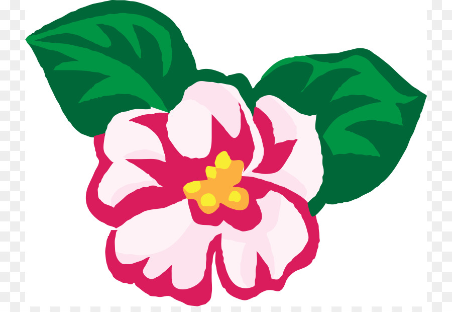 Anemone Clipart