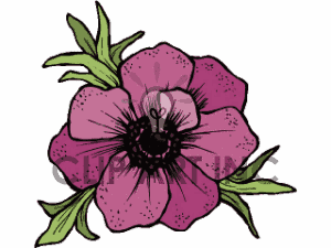300x225 Anemone Inky Art Art Images And Royalty Free Images