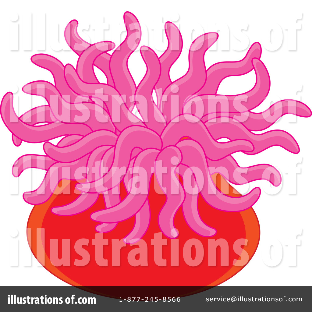 1024x1024 Anemone Clipart