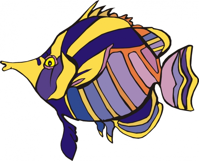 800x647 Cartoons Of Fish