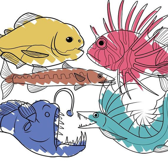 570x570 Line Art Predatory Fish Clip Art Set, Animal Illustration Clipart