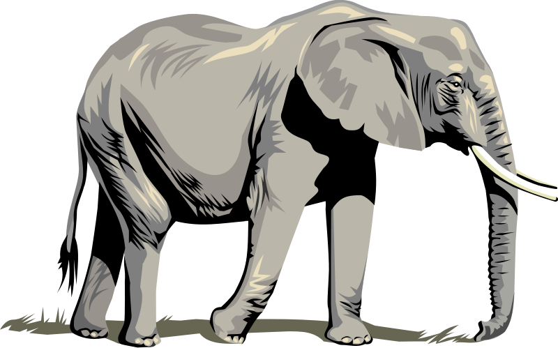 800x499 Elephant Clip Art Royalty Free Animal Images Animal Clipart Org