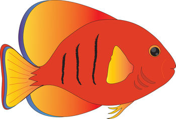 350x237 Fish Clip Art Animals 2 Image