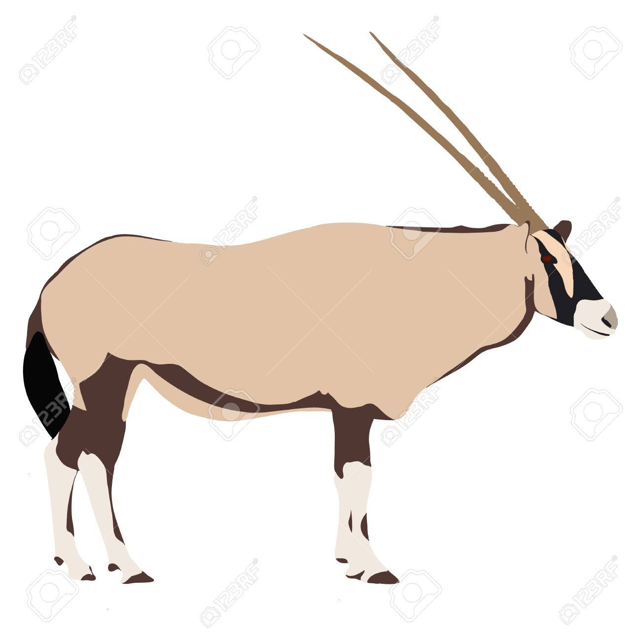 1300x1300 Oryx Clipart Animal Family