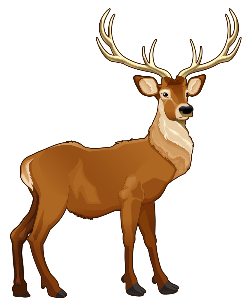 830x1006 Image