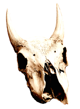 304x413 Cool Skull Clip Art (And Funny!)