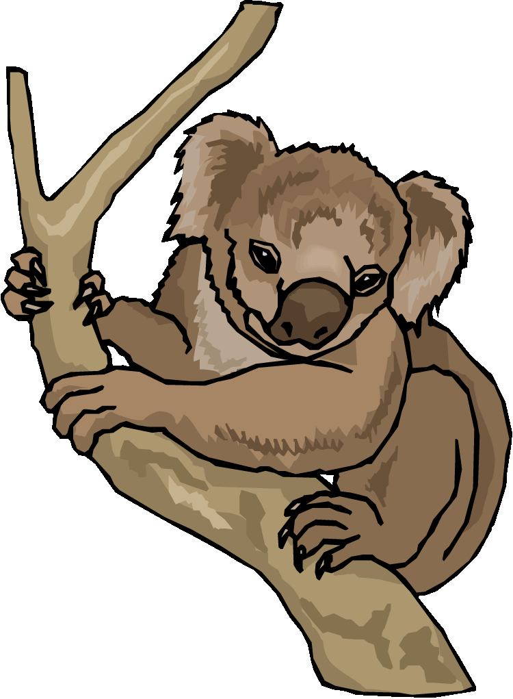 750x1021 Top 85 Koala Clipart