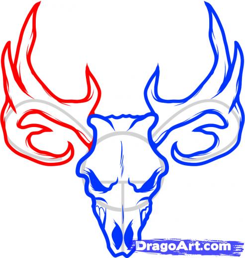 493x520 Deer Skull Drawing Clipart Panda