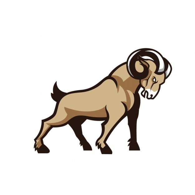 626x626 Goat Vectors, Photos And Psd Files Free Download