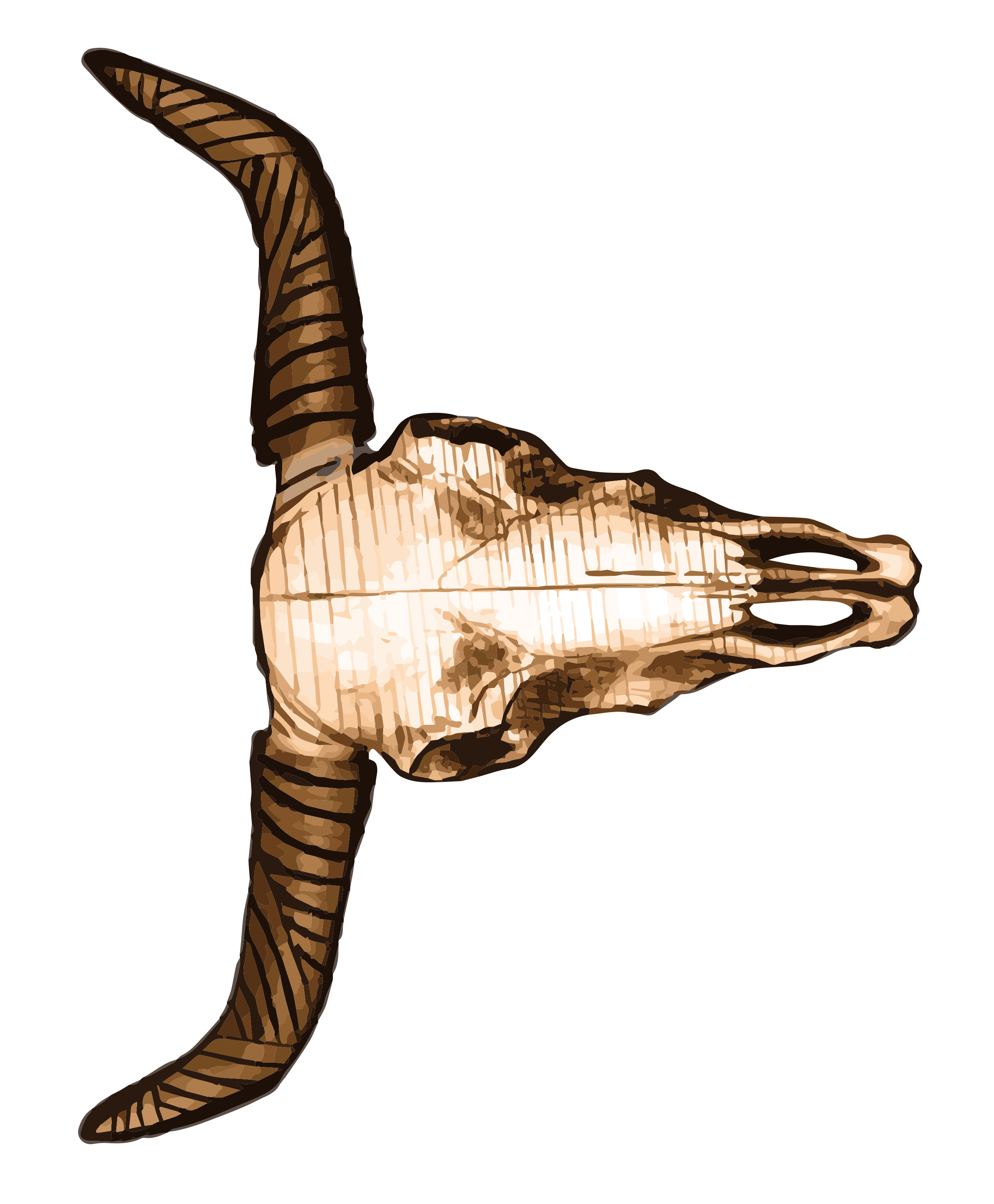 2392x2898 Scholastic Canada Book Fairs Webart