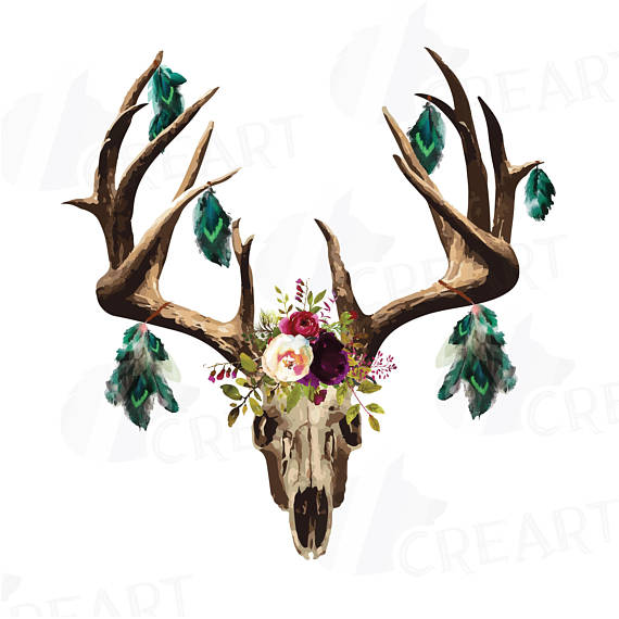570x570 Watercolor Floral Deer Skull Clipart Indian Tribal Deer