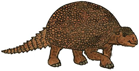 468x240 Glyptodont Pictures