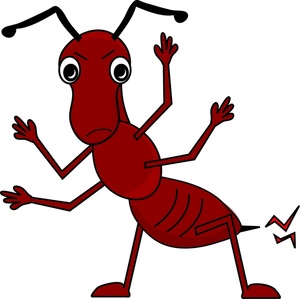 300x299 Fire Ant Clipart Image