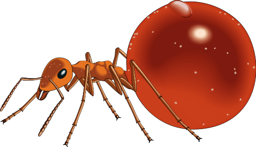 500x288 Cute Ant Coloring Page Free Clip Art