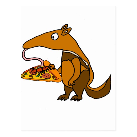 540x540 Funny Anteater Eating Pizza Cartoon Postcard