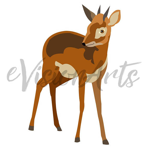 Antelope Clipart