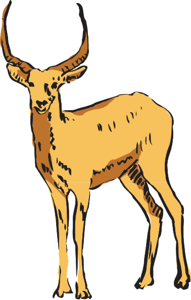 378x591 Standing Antelope Drawing Clip Art