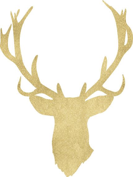 429x570 Deer Clipart