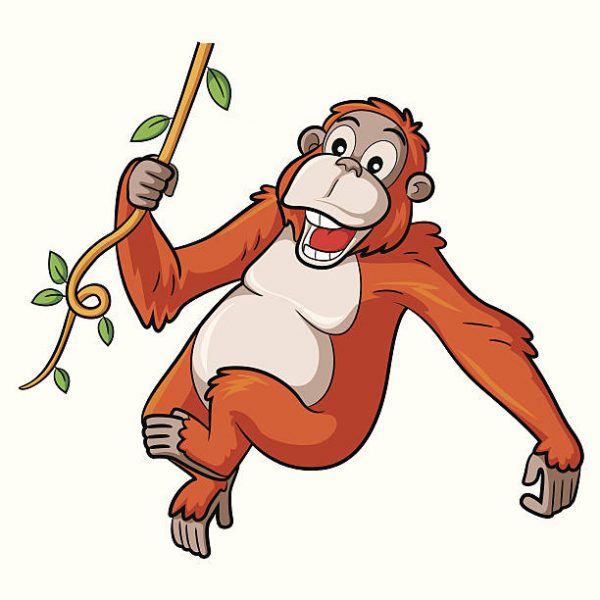 600x600 Orangutan Clip Art