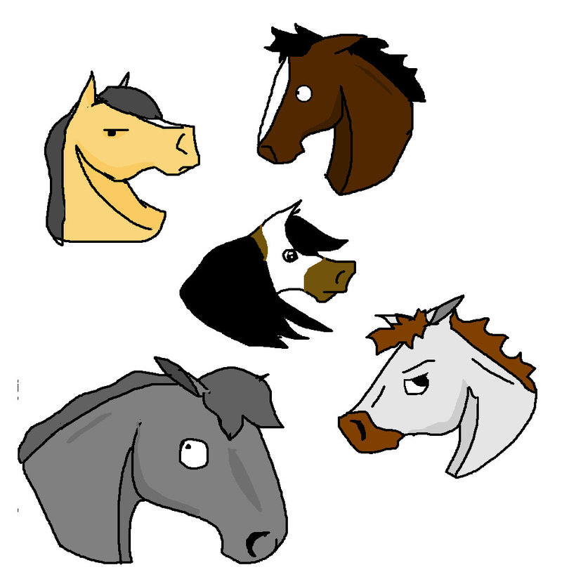 800x825 Horse Head Cartoon