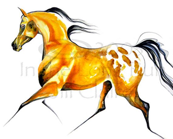 570x456 960 Best Drawing Horses Images On Horses, Equine Art