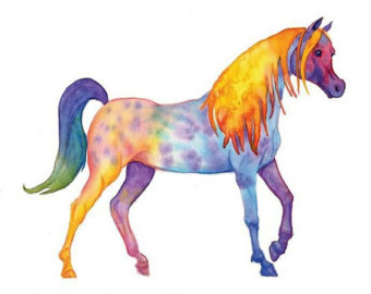 340x270 Appaloosa Clipart