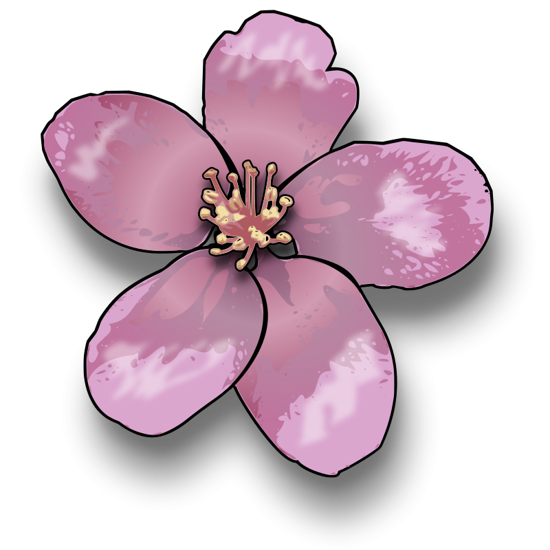 800x800 Flower Clipart Pictures Royalty Free