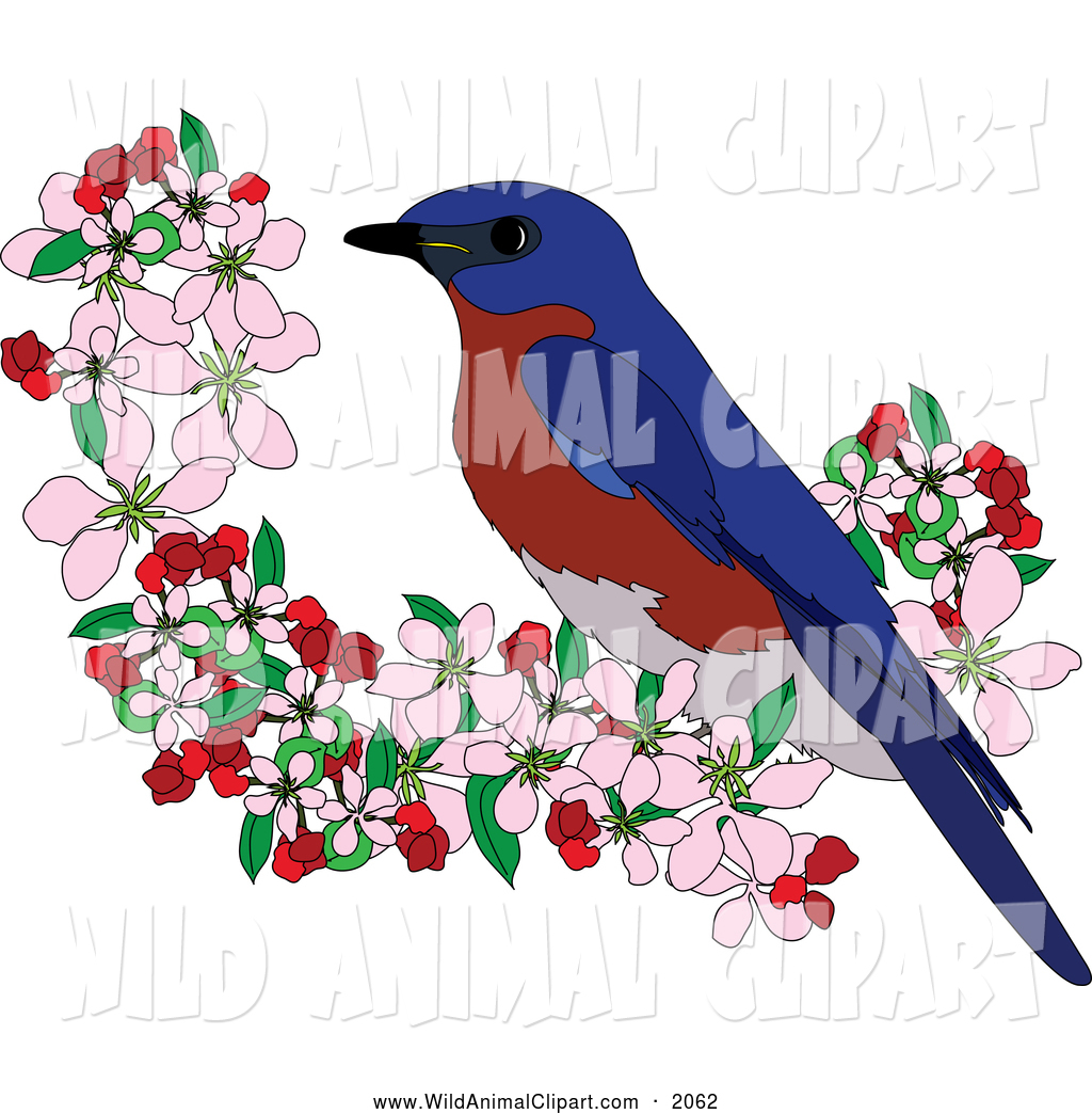 1024x1044 Wildlife Clipart